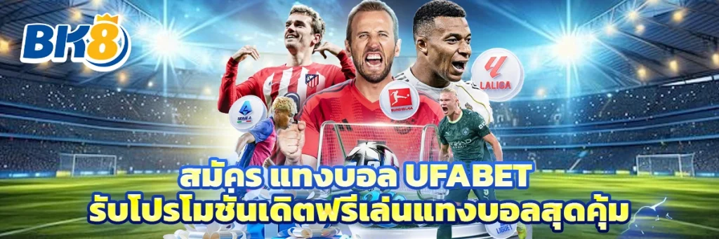 สมัคร แทงบอล ufabet